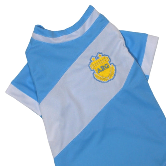 Playera Argentina Mundialista